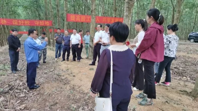 全国割胶冠军张健给各单位学员做标准化胶园建设及割胶技术的经验介绍。.jpg